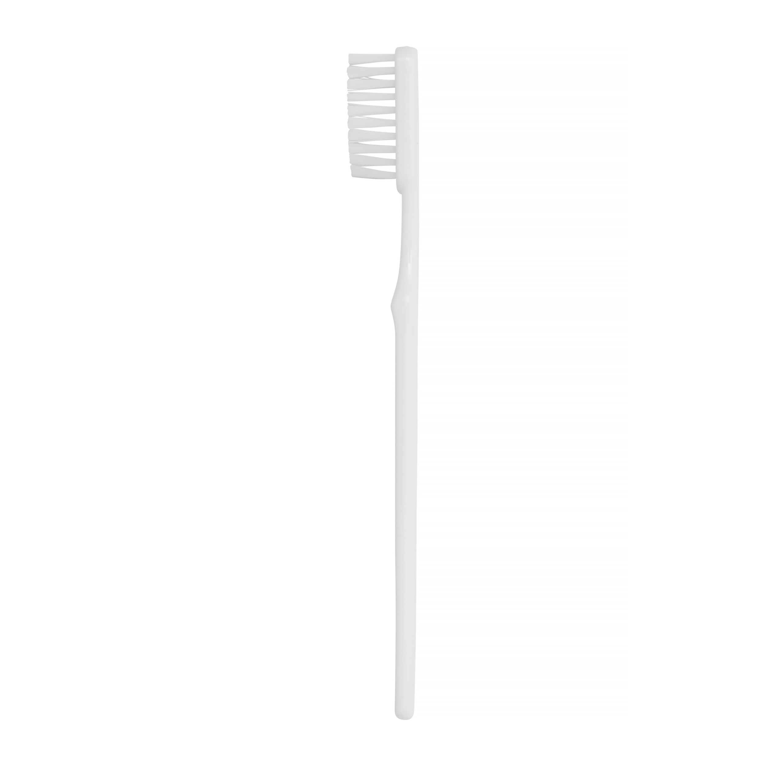 Toothbrush single use, White